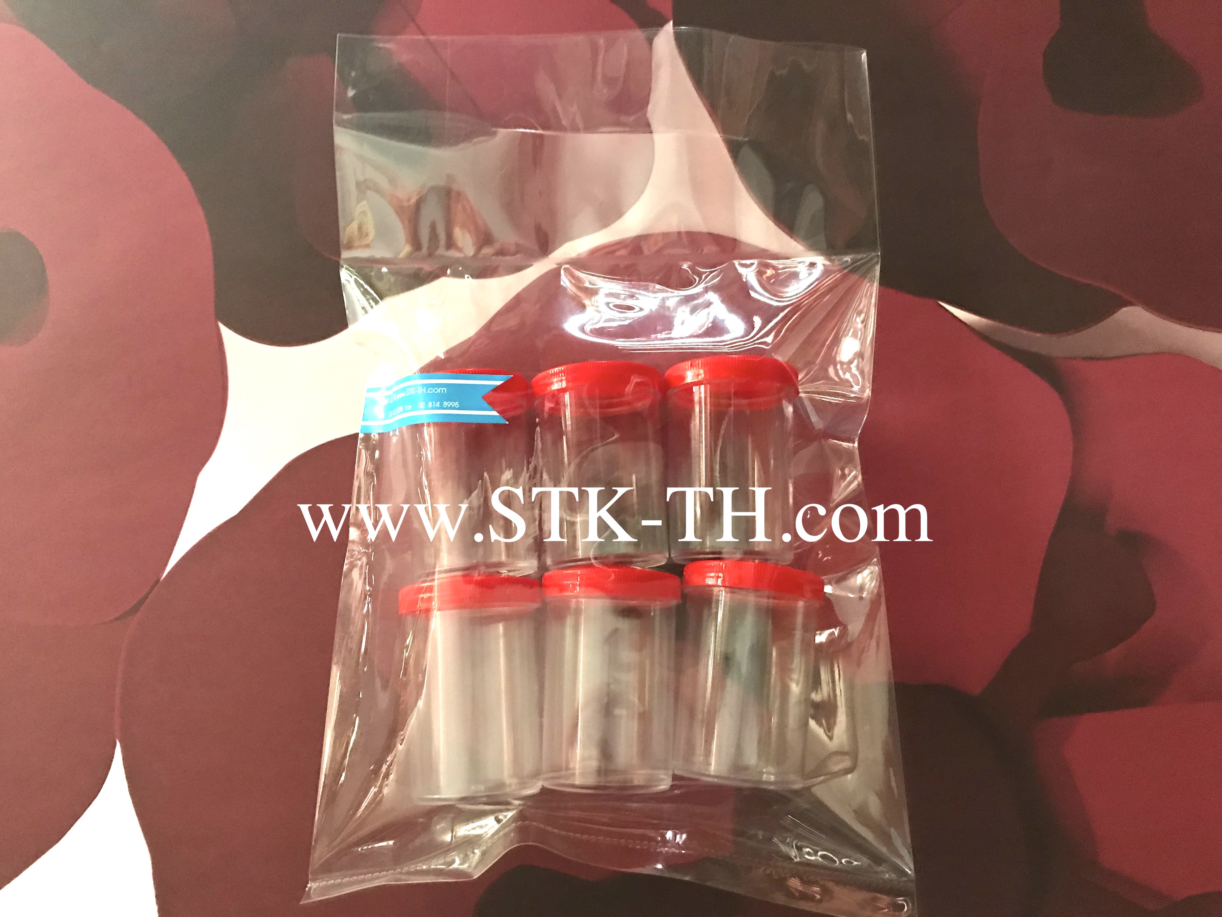 ขวดใส่เครื่องปรุง (M) ขวดใส่เครื่องปรุง (M)